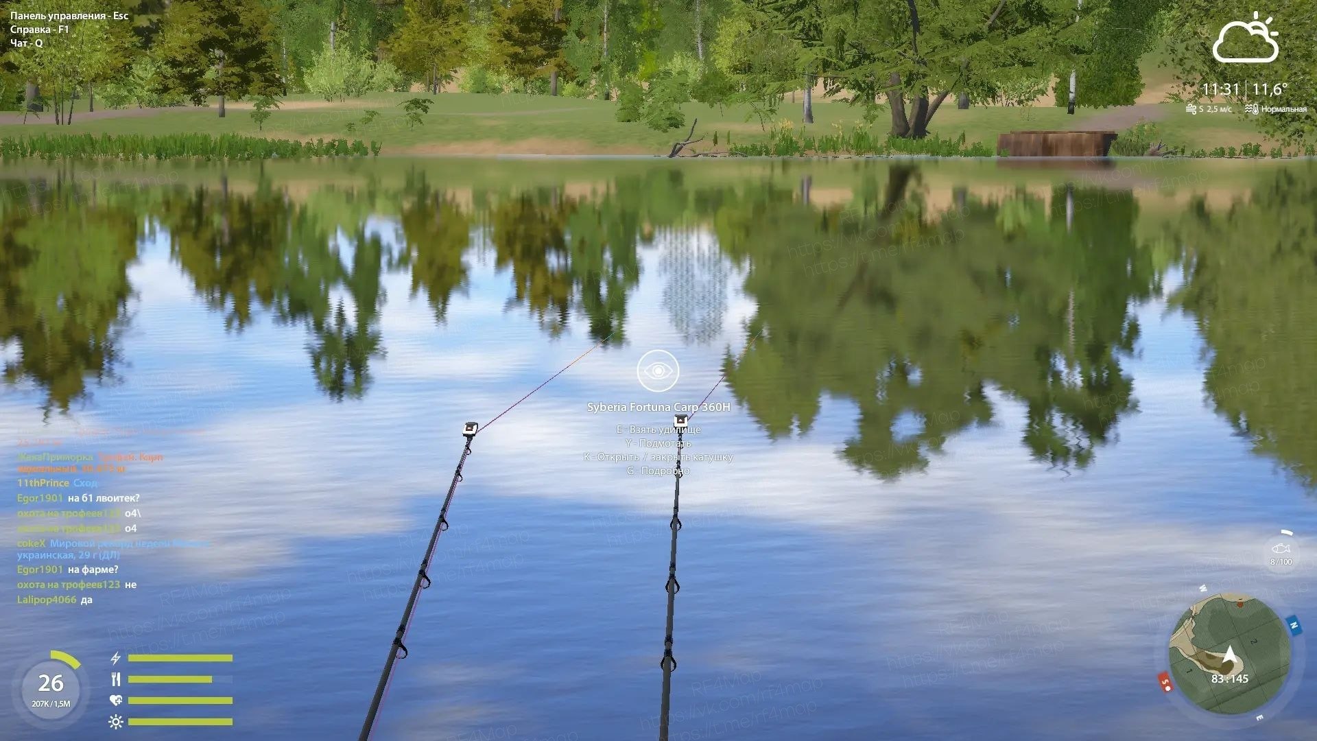The Amber Lake