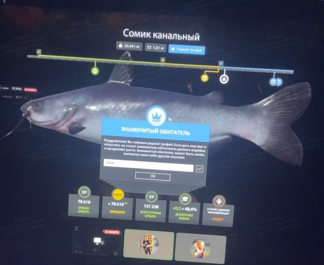 Озеро Лосиное