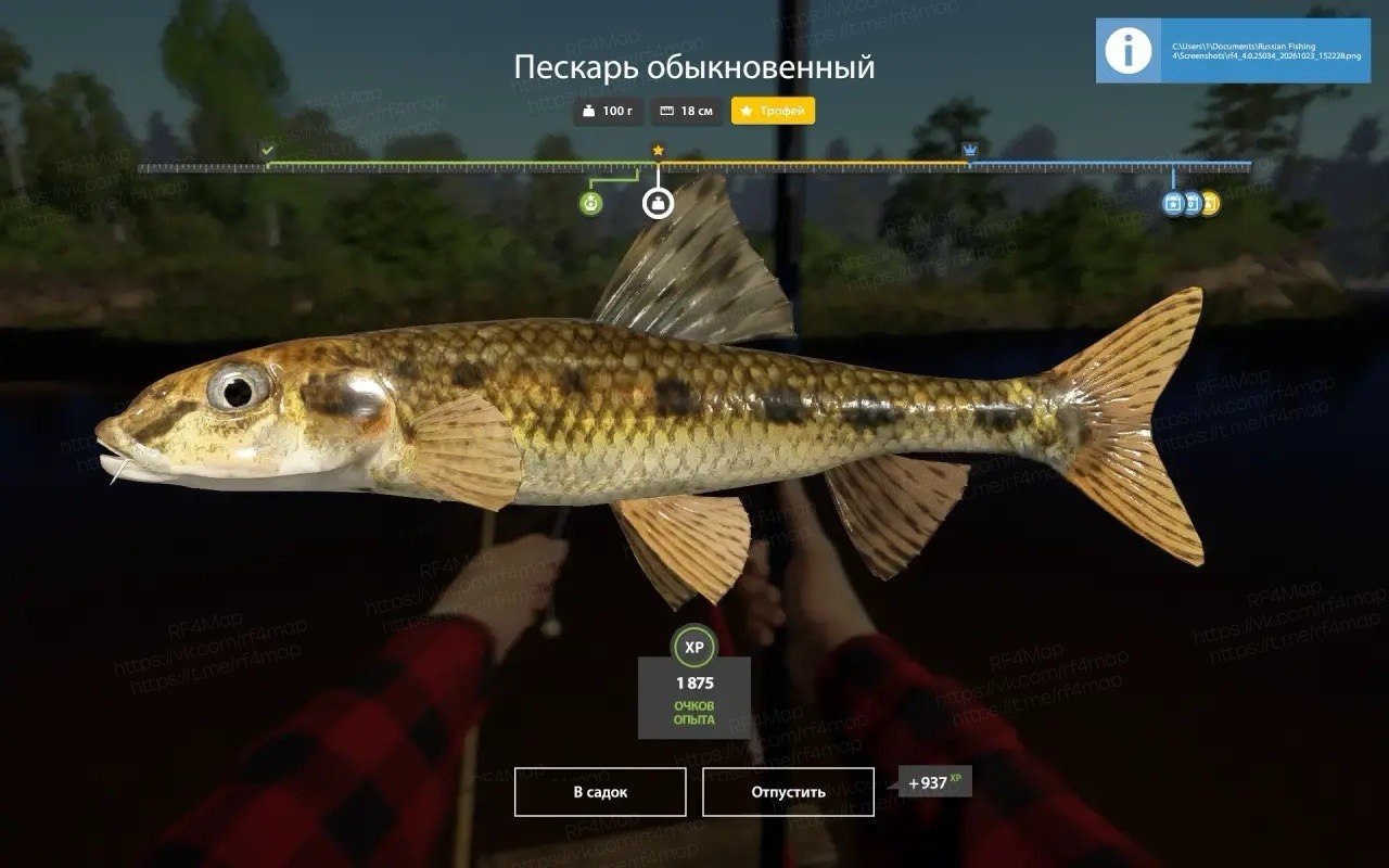 Река Вьюнок