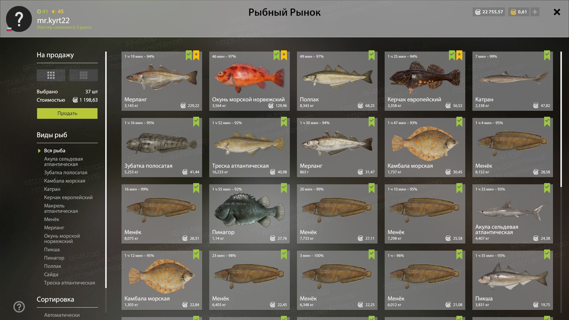 Норвежское море