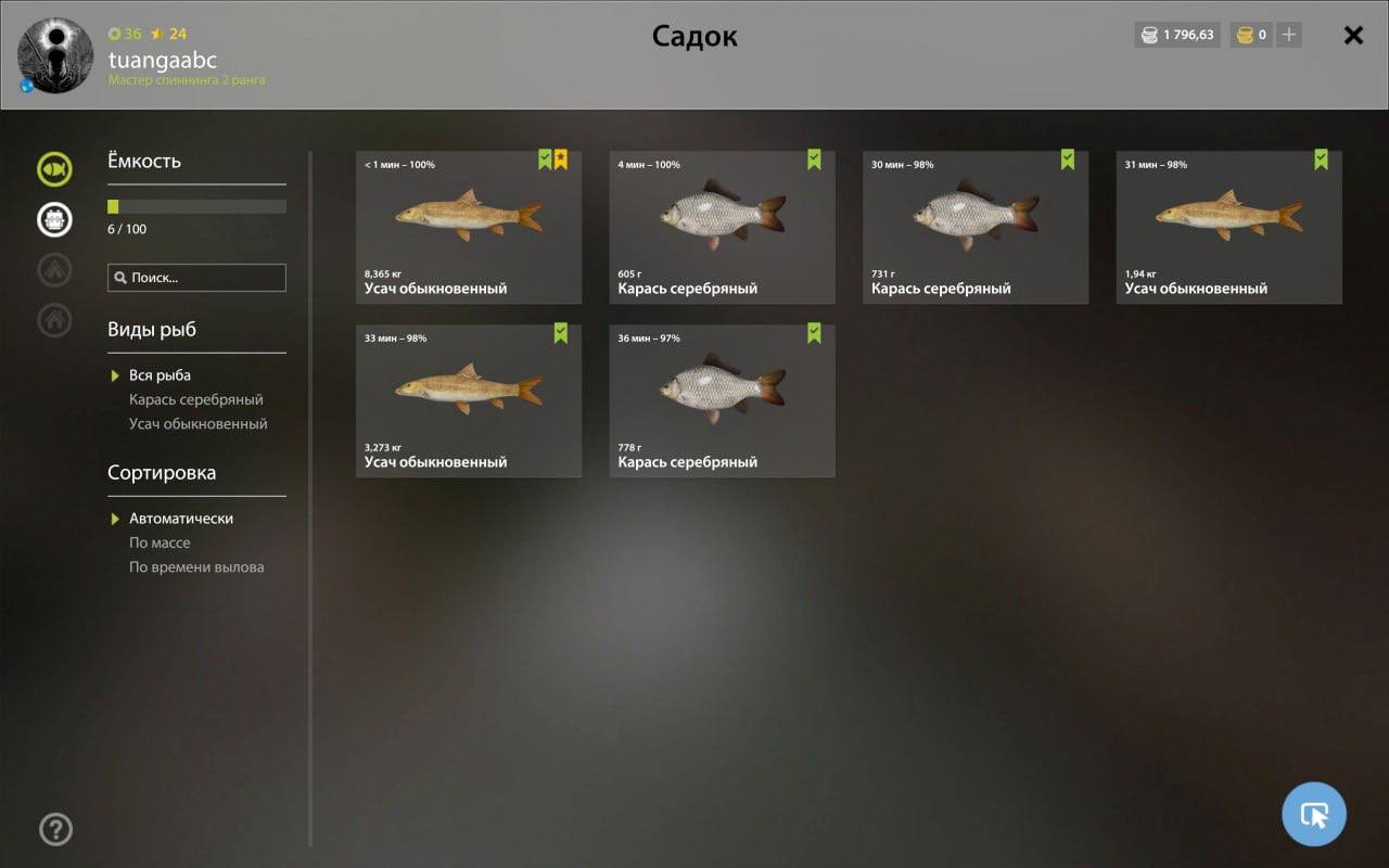 Bear Lake — Keepnet