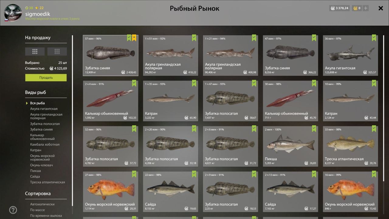 Садок — Норвежское море