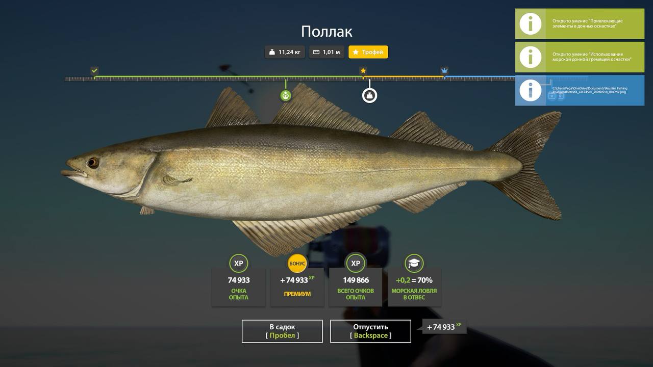 Norwegian Sea — Trophy