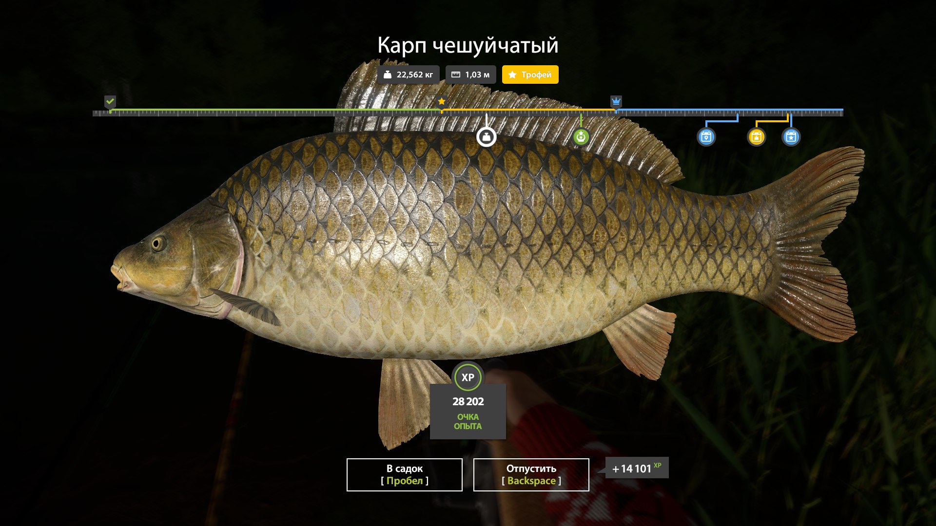 Trophy — Copper Lake