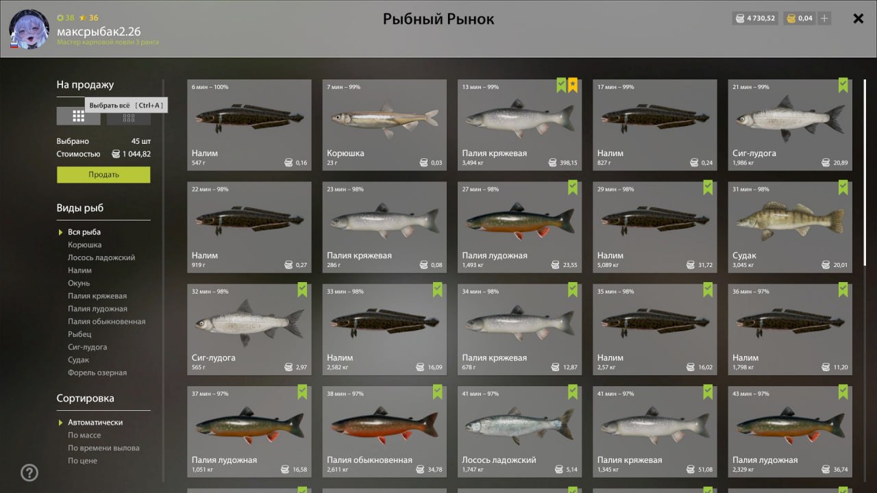 Keepnet — Ladoga Archipelago