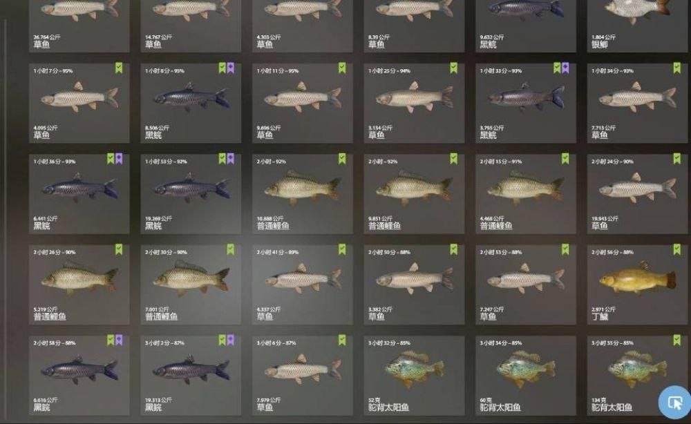 Keepnet — Old Burg Lake