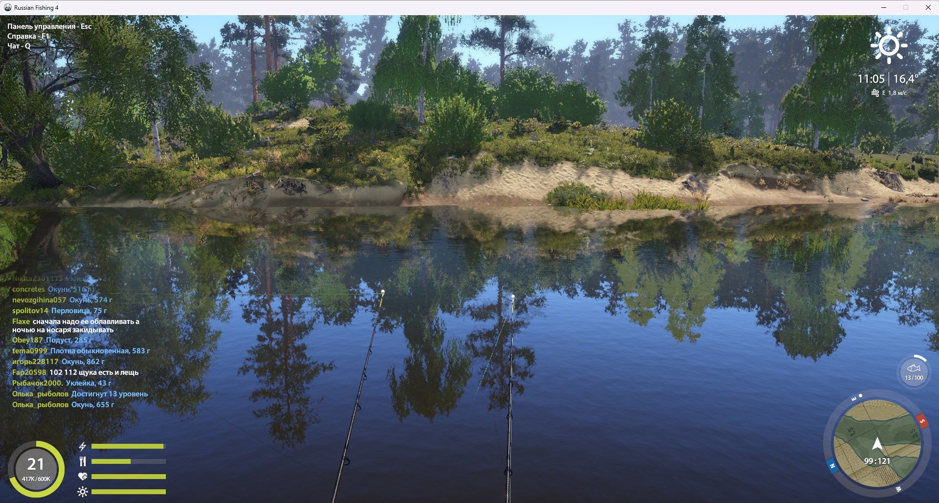 Winding Rivulet