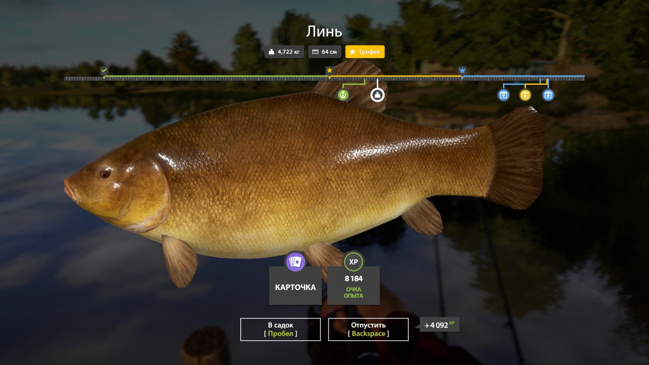 Трофей — Озеро Янтарное