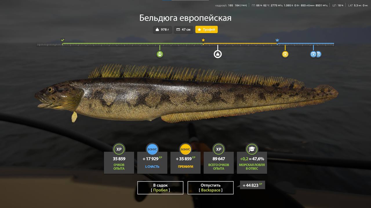 Norwegian Sea — Trophy