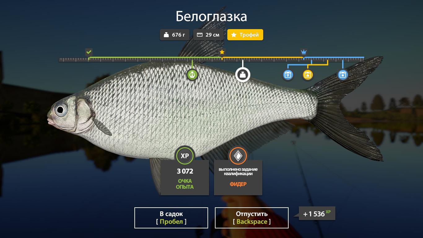 Volkhov River — Trophy