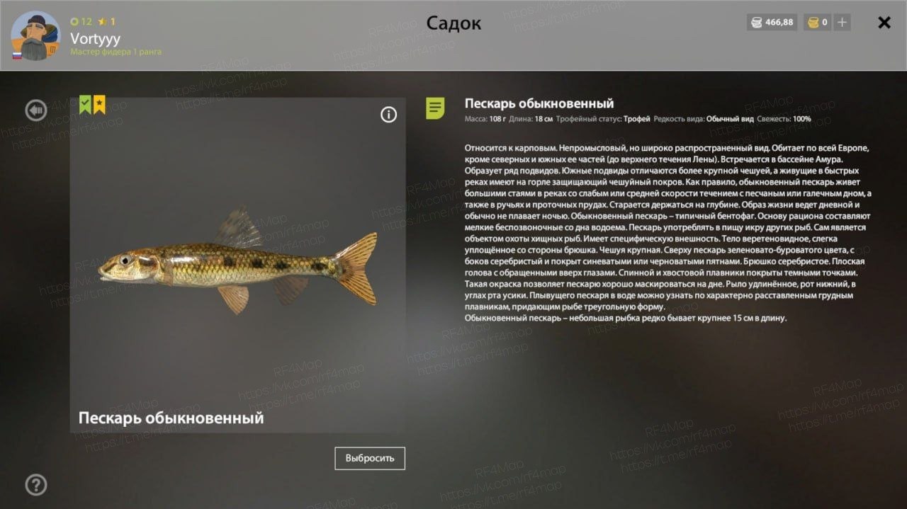 Winding Rivulet — Trophy