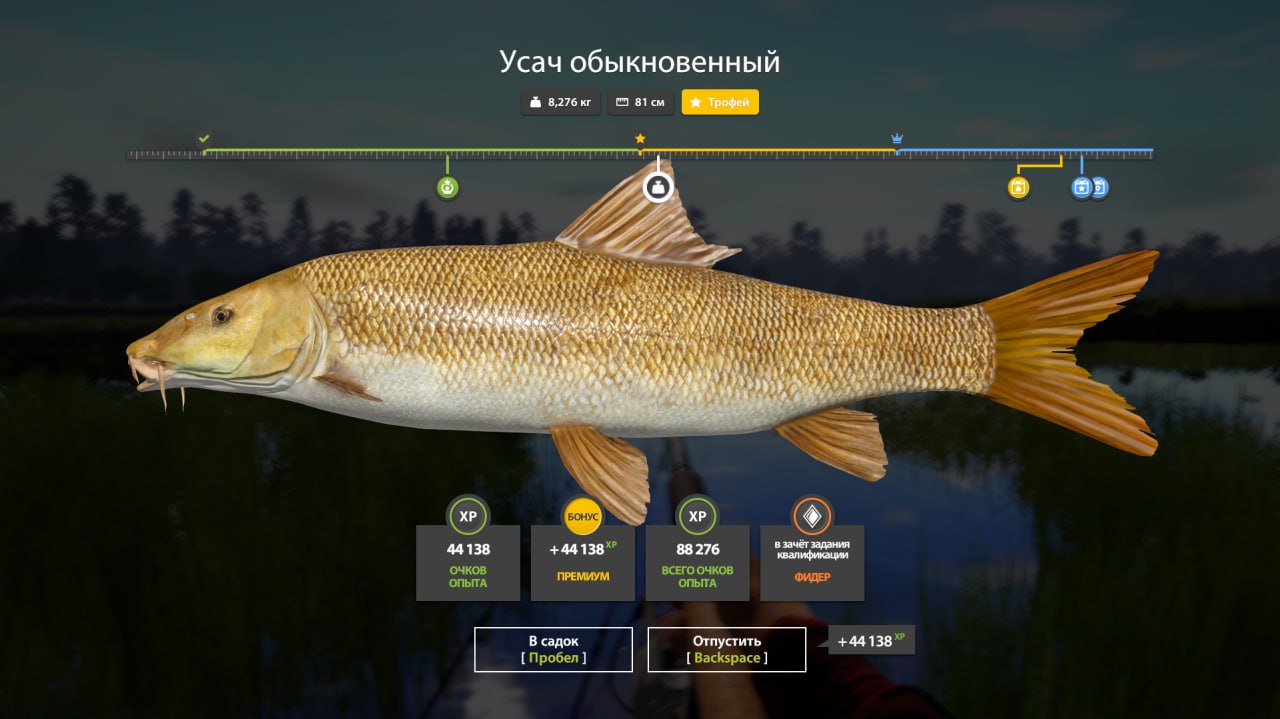 Озеро Медвежье — Трофей