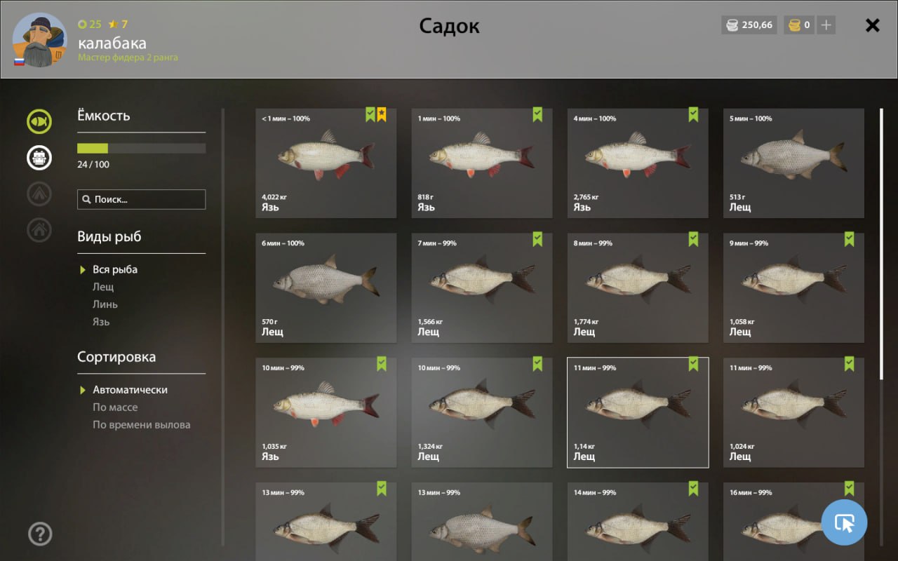 Miscellaneous — Mosquito Lake