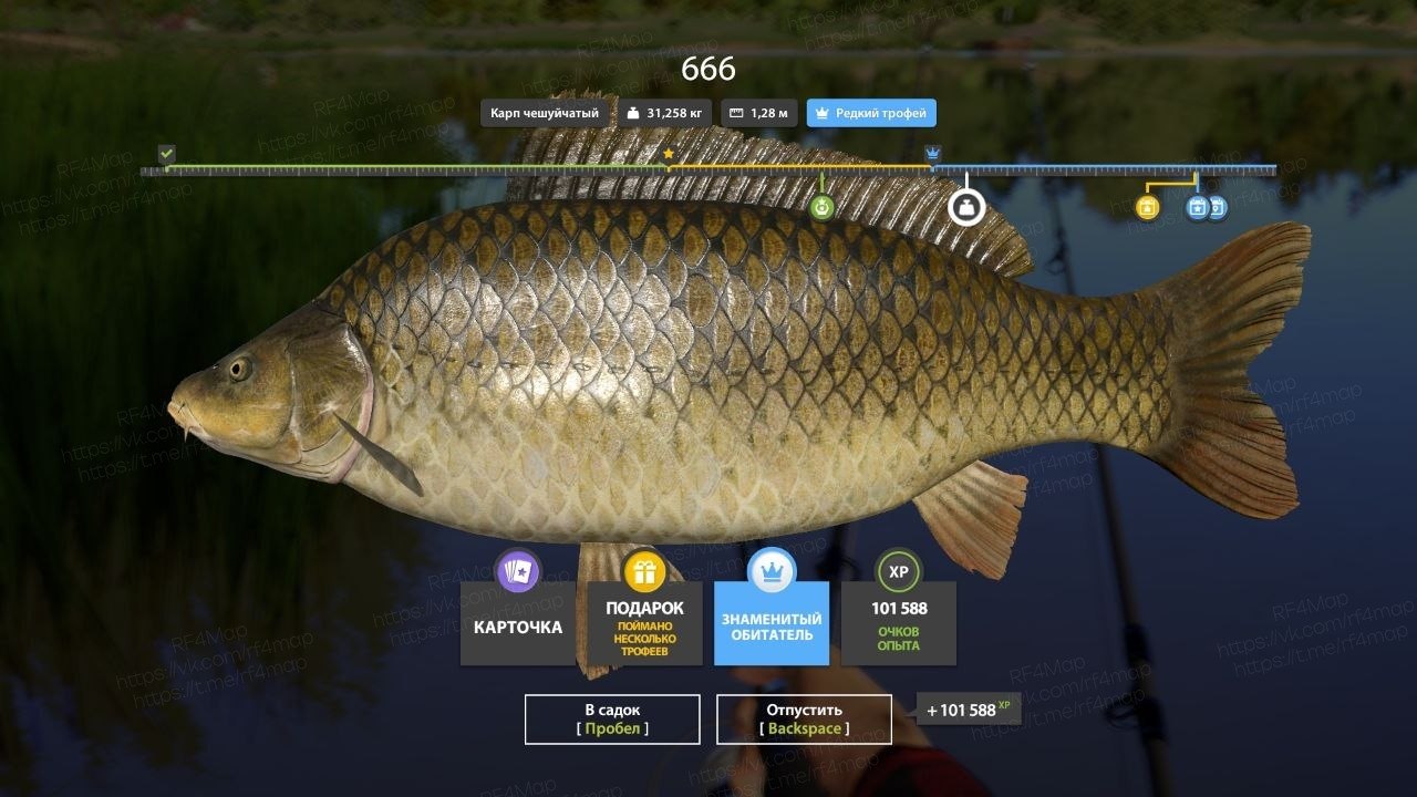 The Amber Lake — Trophy