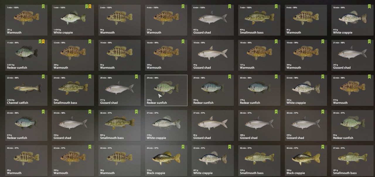 Садок — Озеро Лосиное