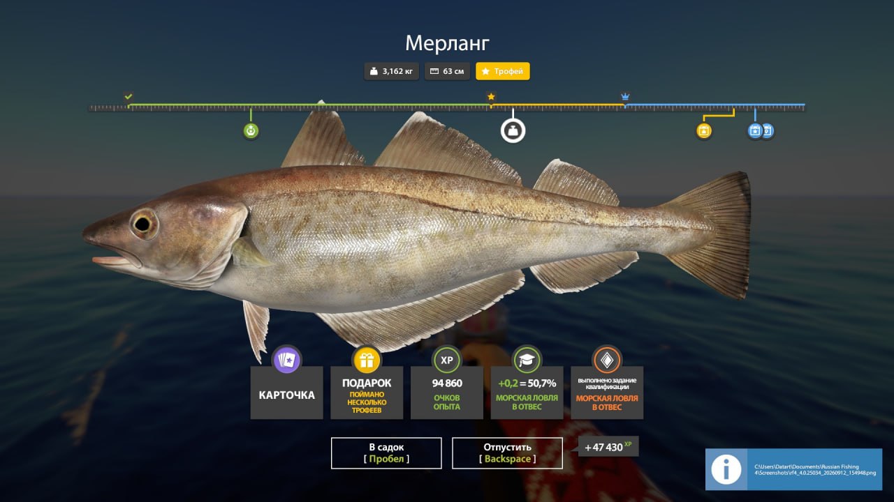 Norwegian Sea — Trophy
