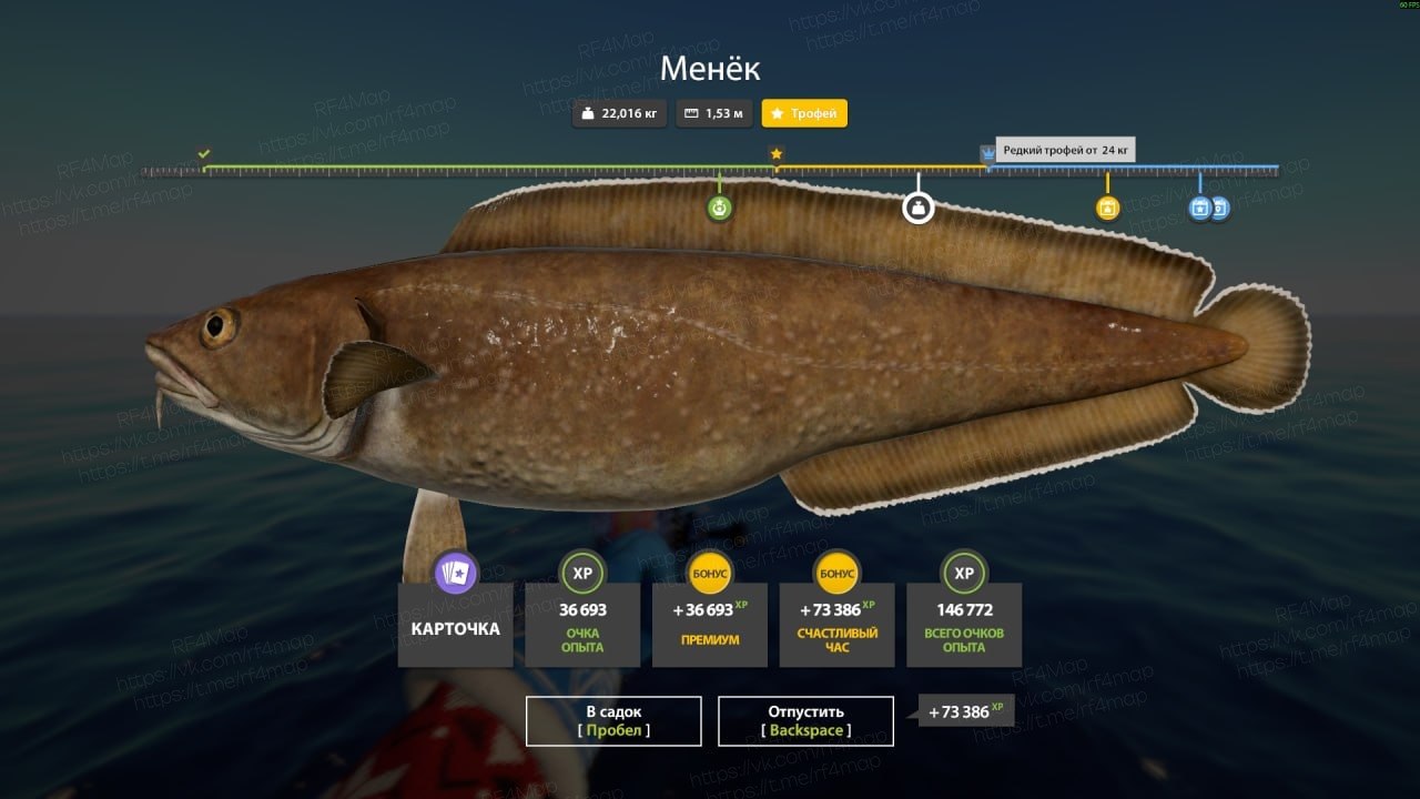 Норвежское море