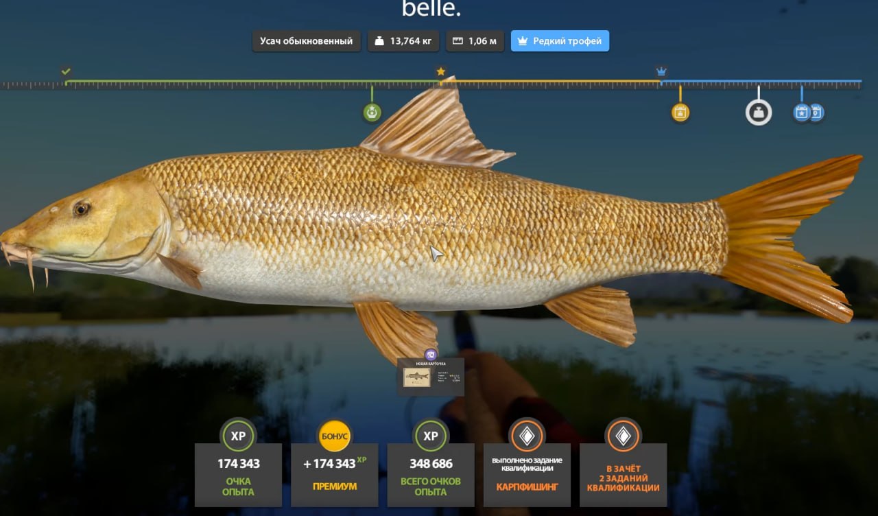 Bear Lake — Trophy