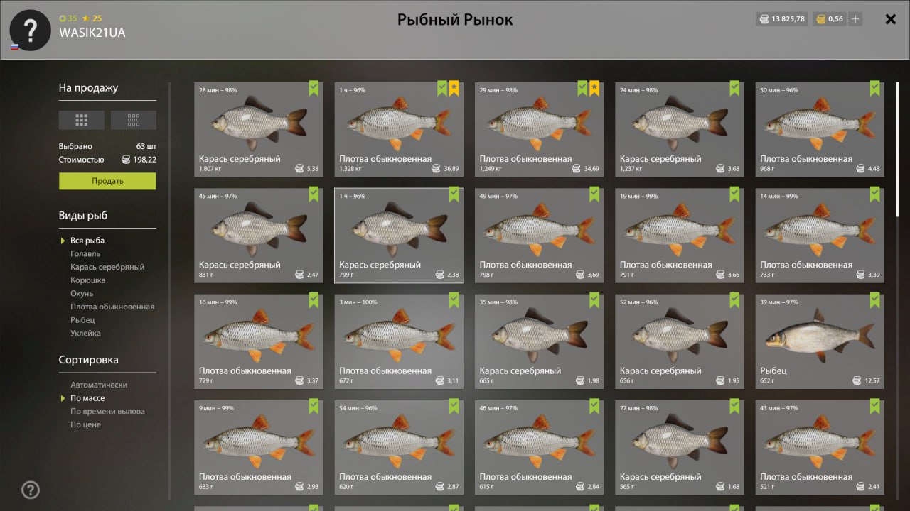 Ладожское озеро — Садок