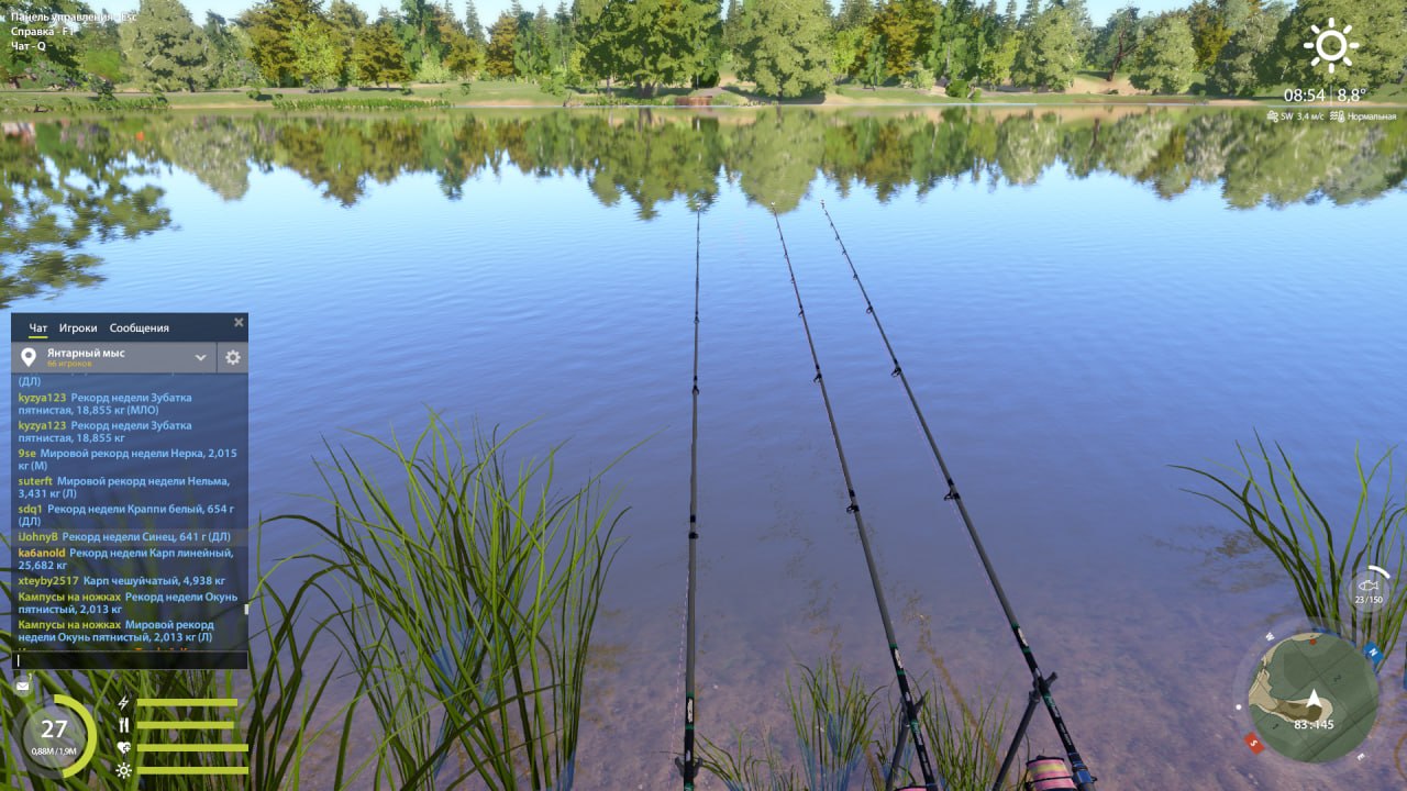 Miscellaneous — The Amber Lake