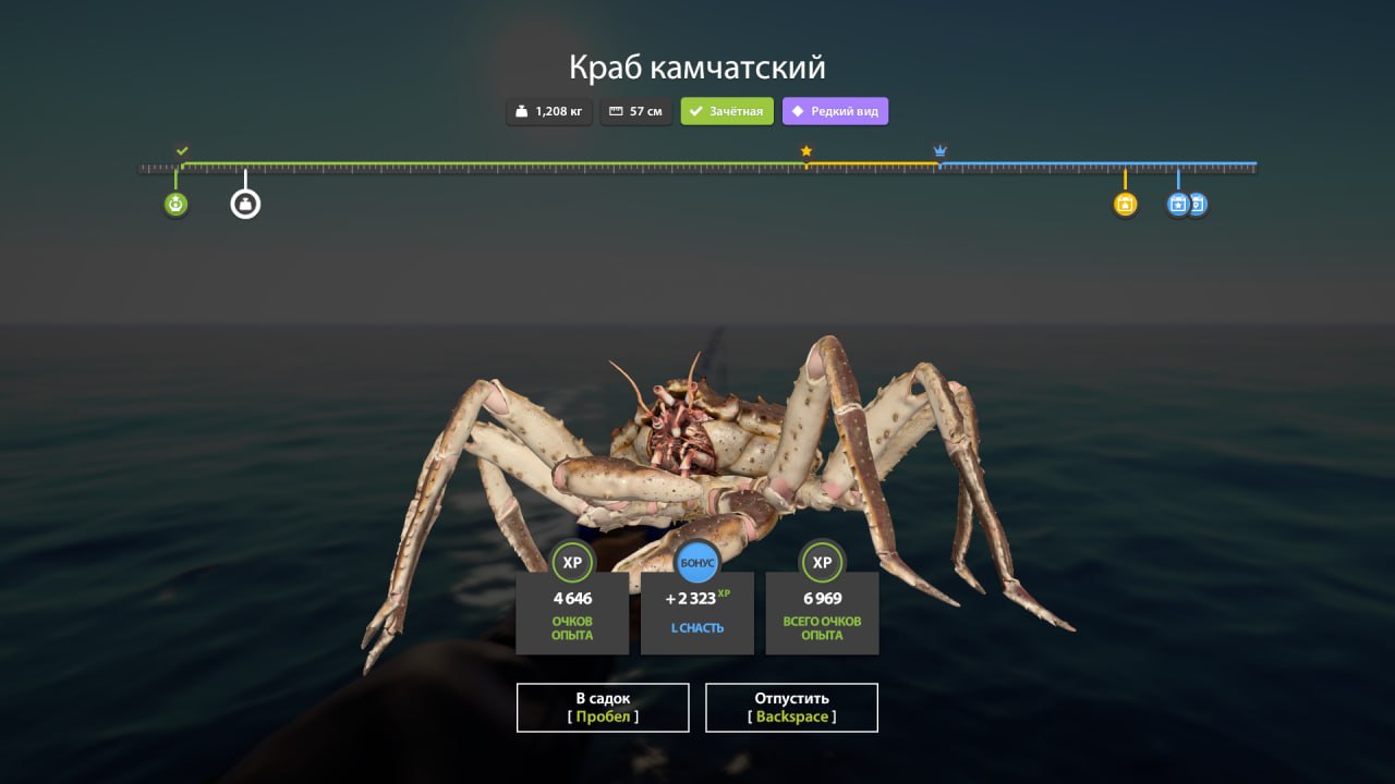 Норвежское море — Разное