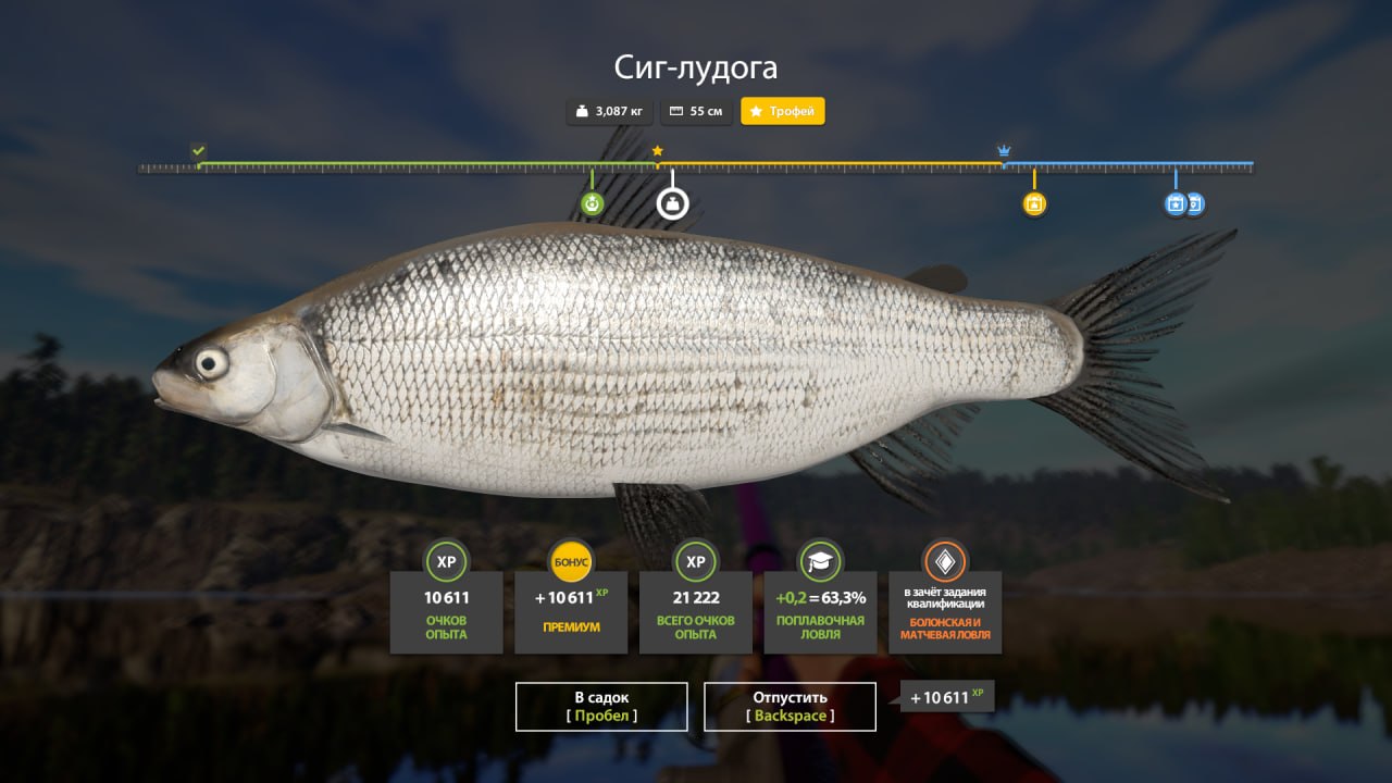 Ladoga Lake — Trophy