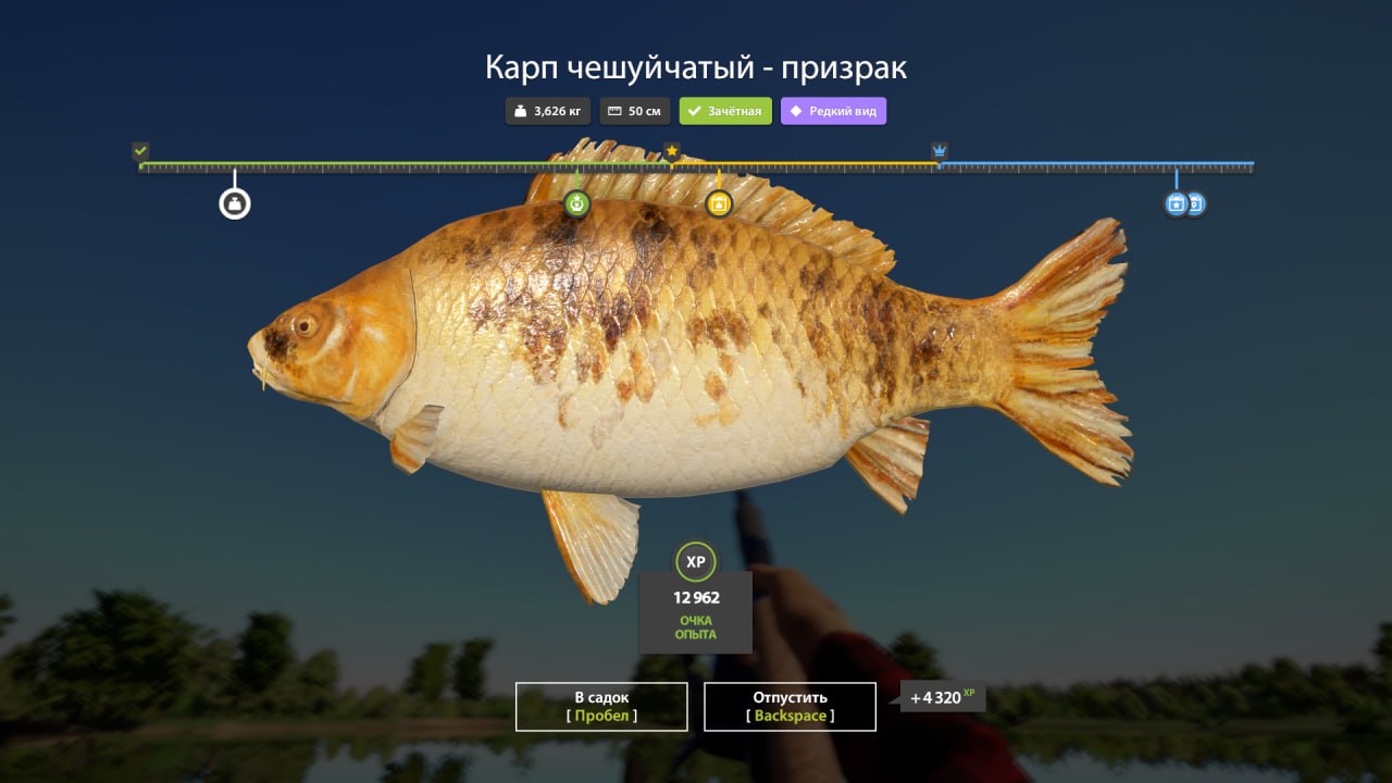 Miscellaneous — The Amber Lake