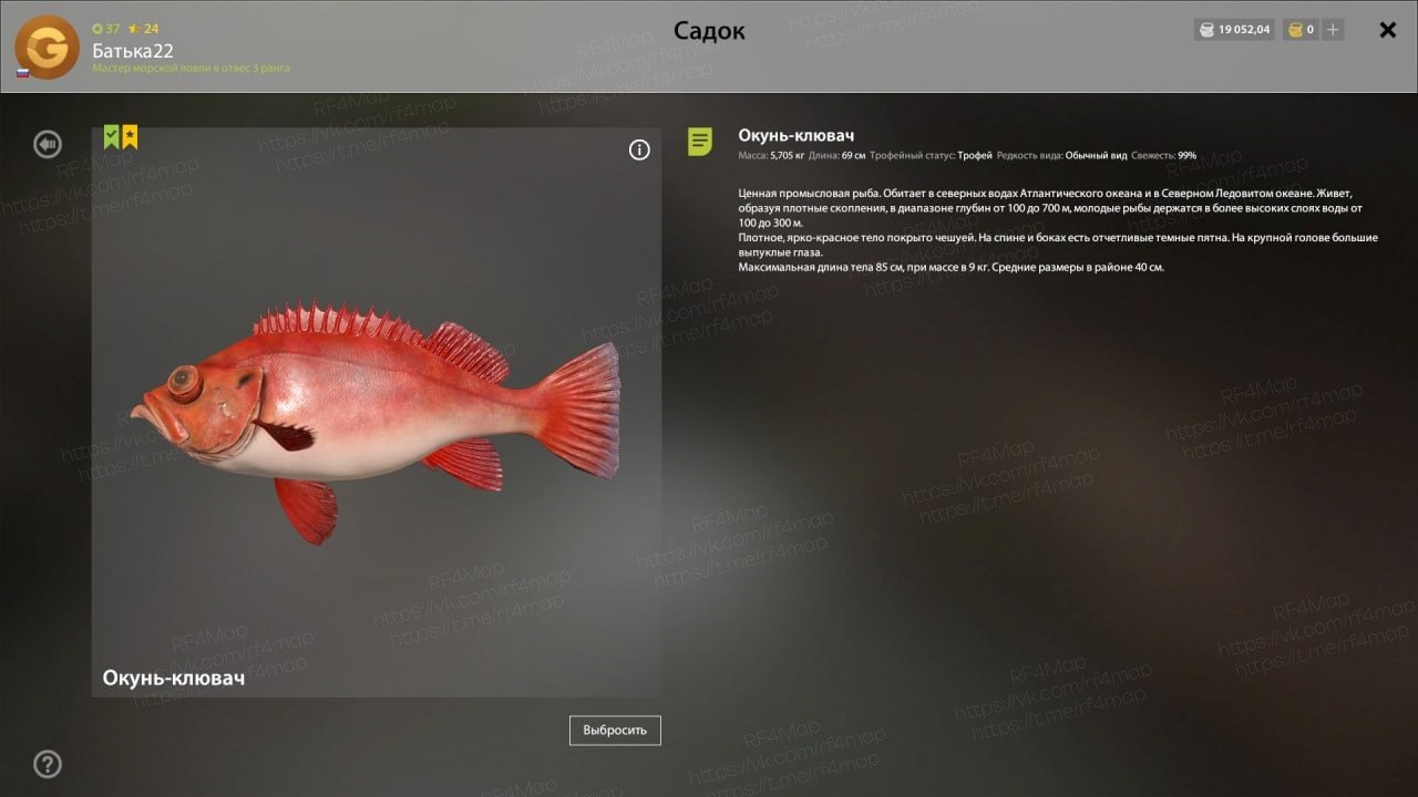 Норвежское море