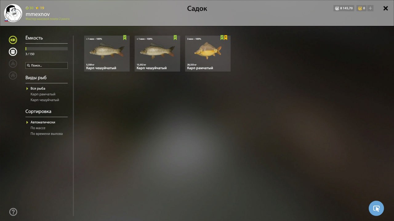 Keepnet — The Amber Lake