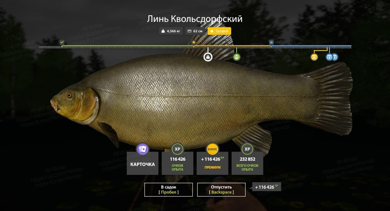 Озеро Медное — Трофей