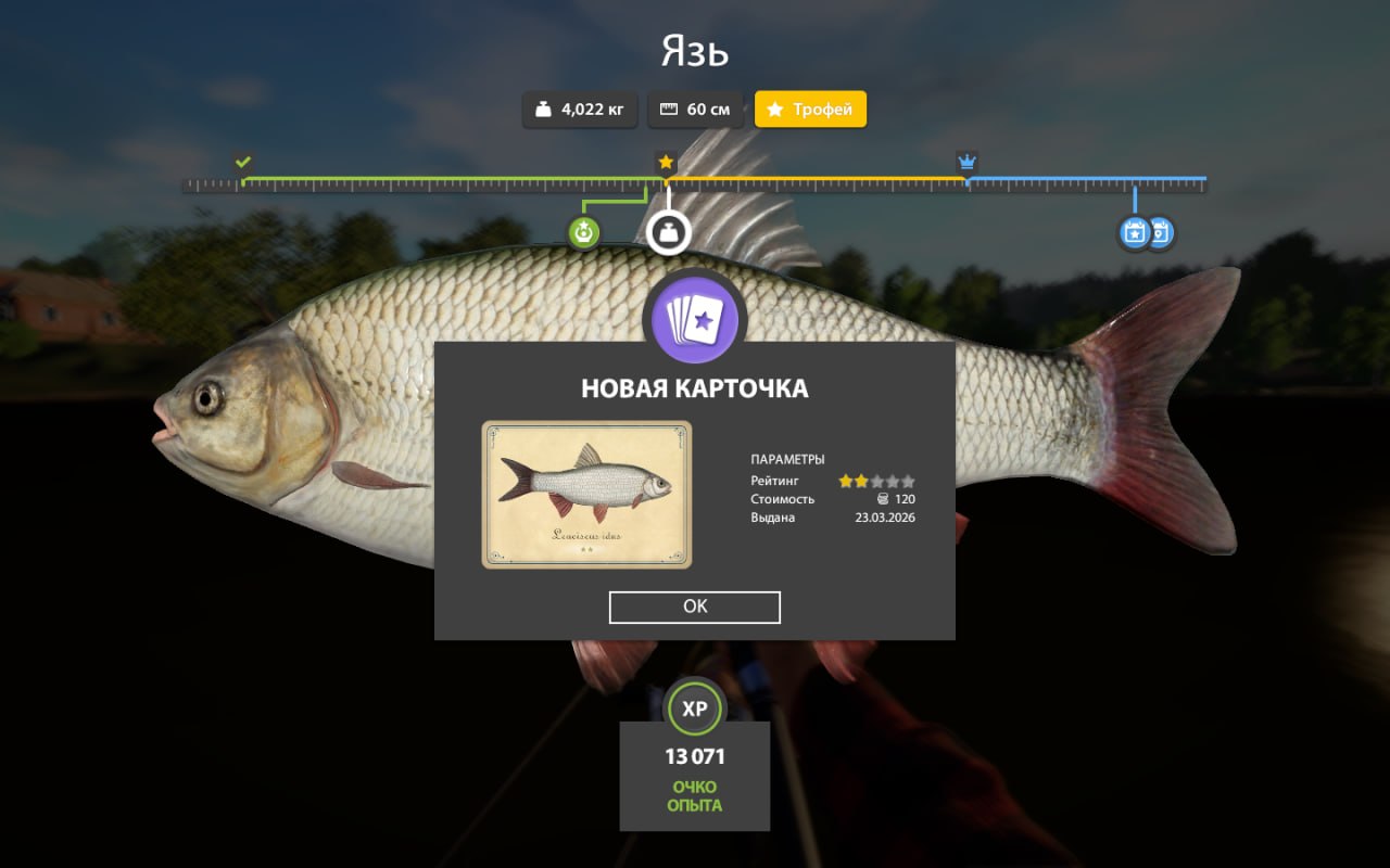 Trophy — Mosquito Lake