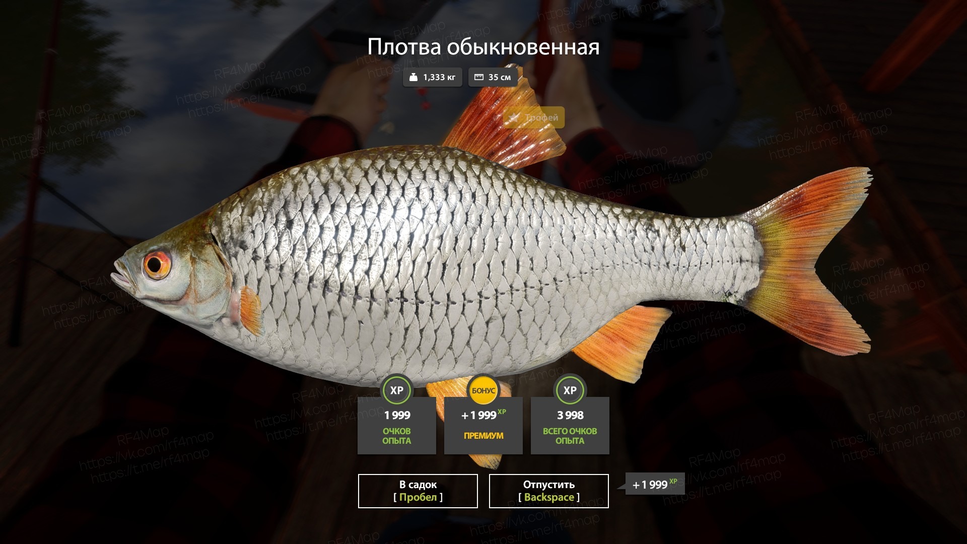 Seversky Donets River