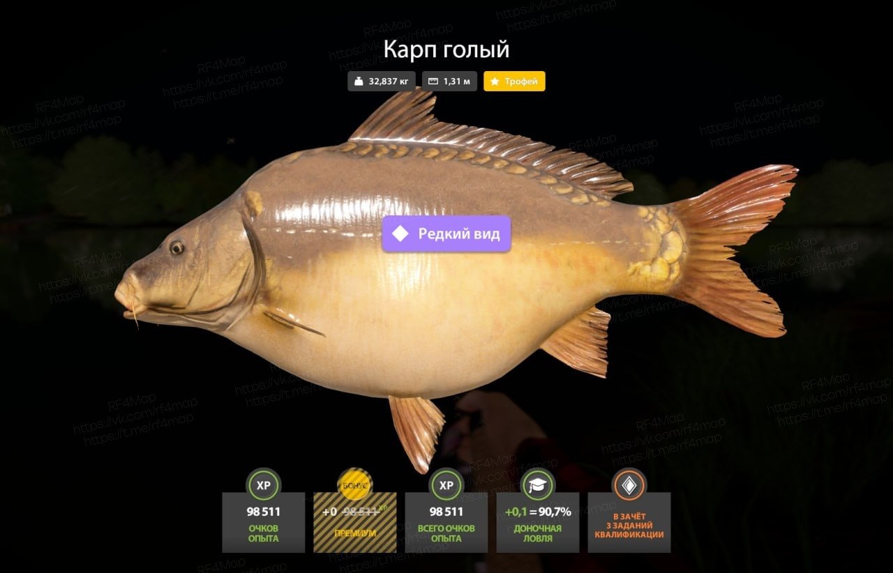 The Amber Lake — Trophy