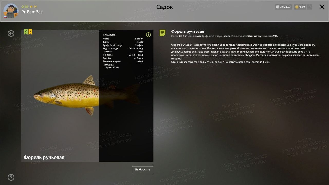Belaya River — Trophy