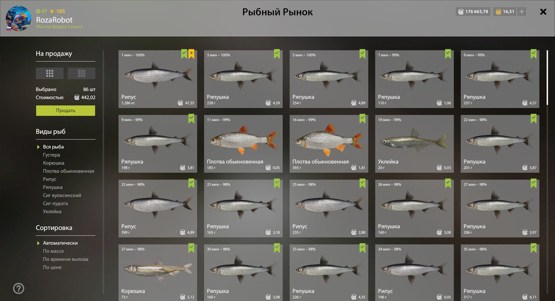 Садок — Ладожское озеро