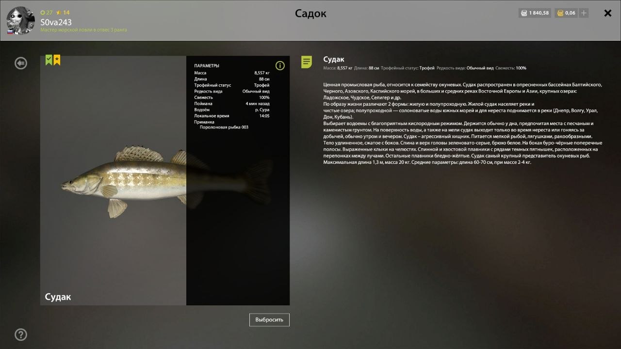 Sura River — Trophy