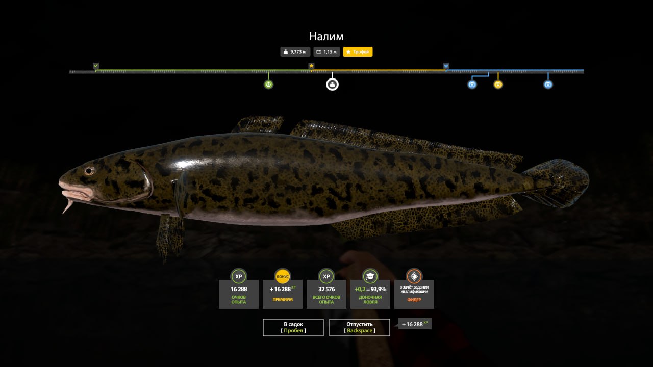 Kuori Lake — Trophy