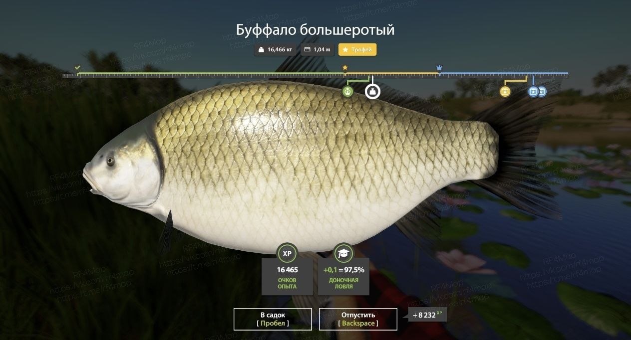 Река Ахтуба — Трофей