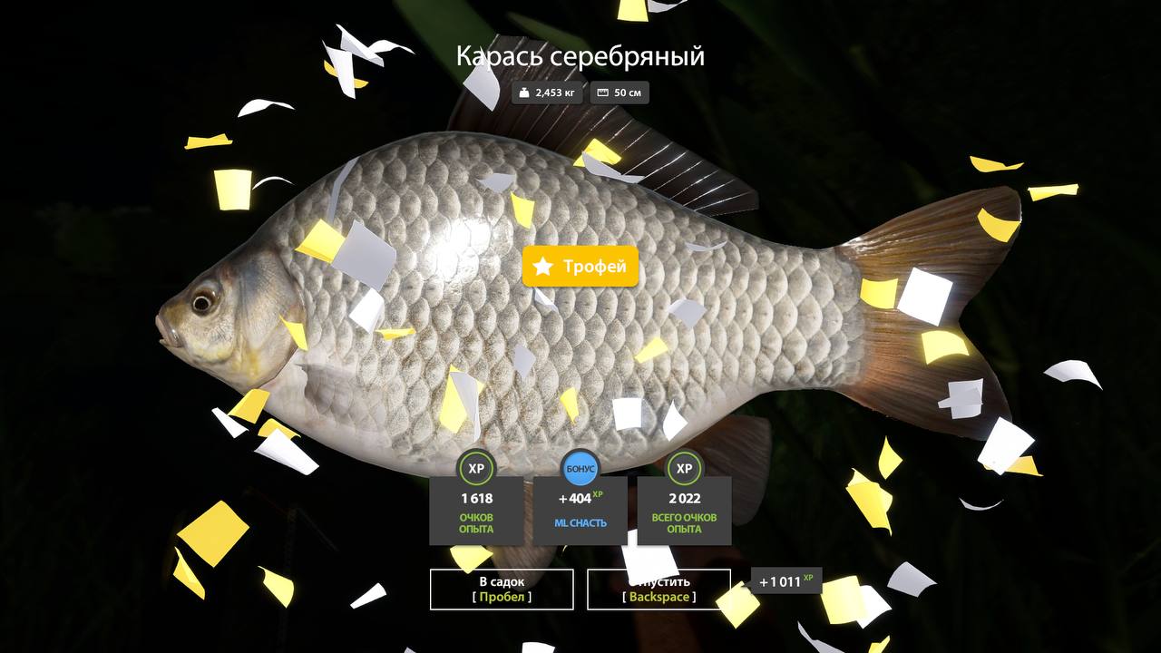 Copper Lake — Trophy