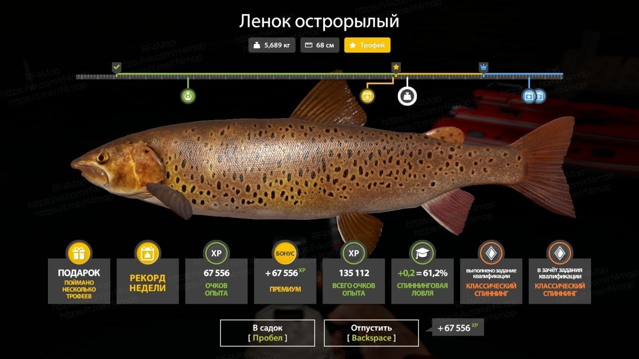 Yama River — Trophy