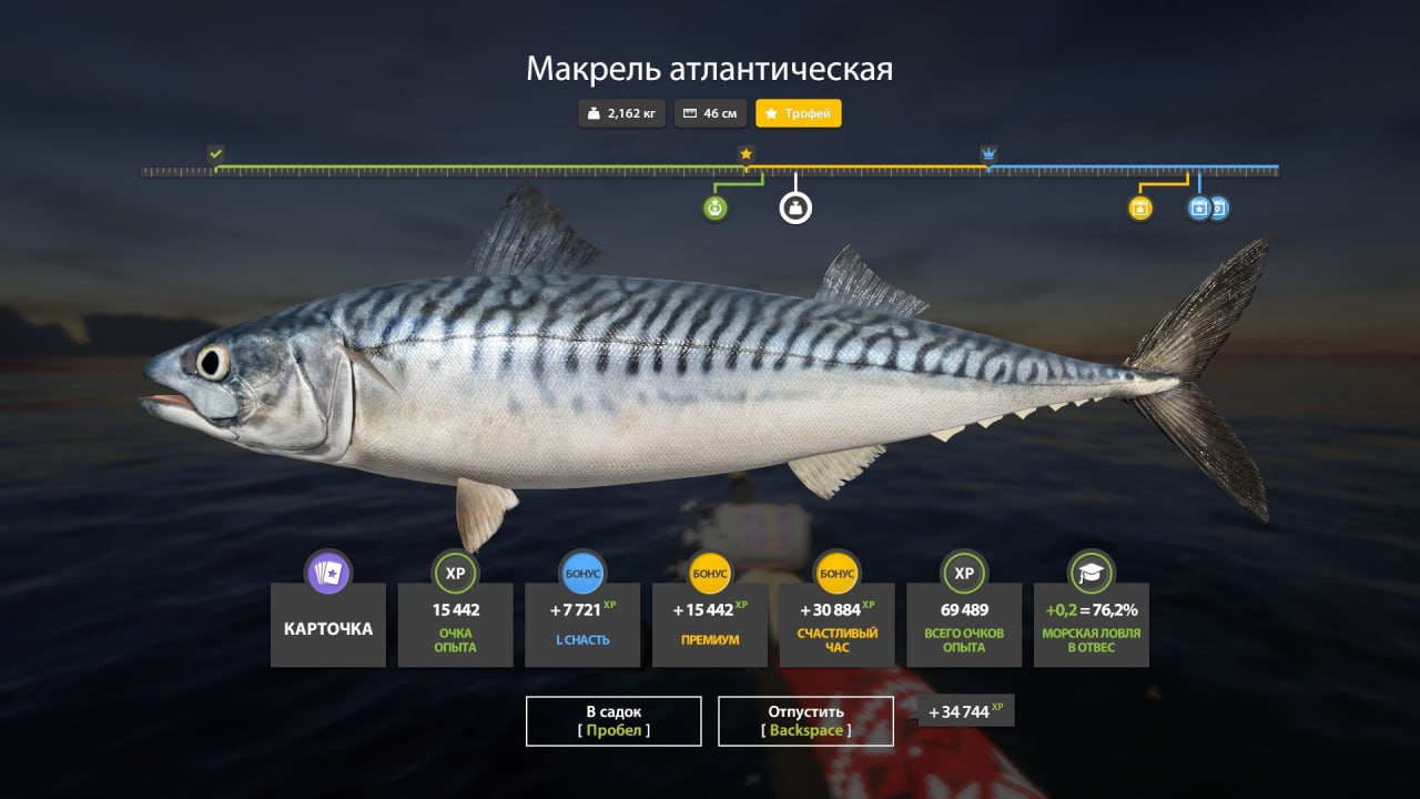 Норвежское море — Трофей