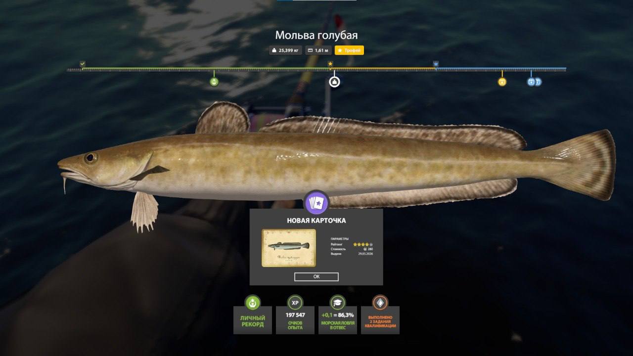 Norwegian Sea — Trophy