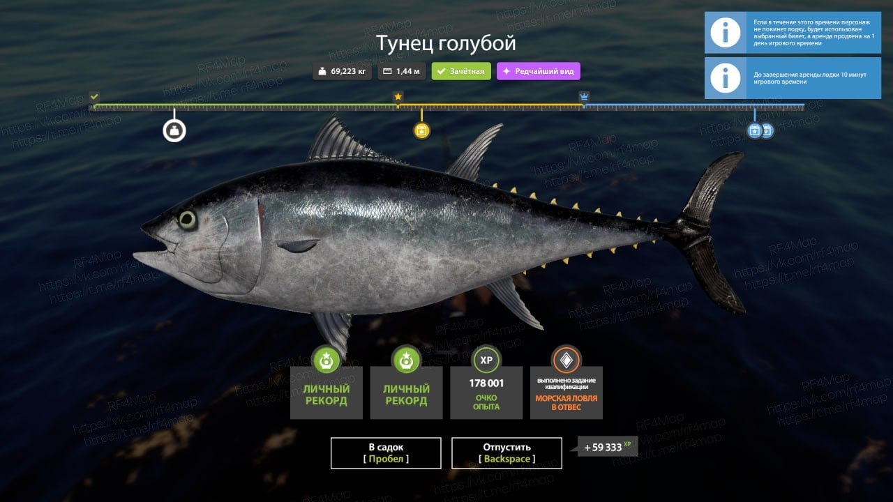 Норвежское море — Трофей