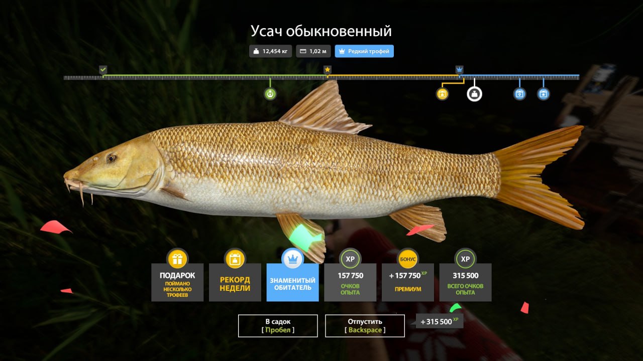 Трофей — Озеро Медное