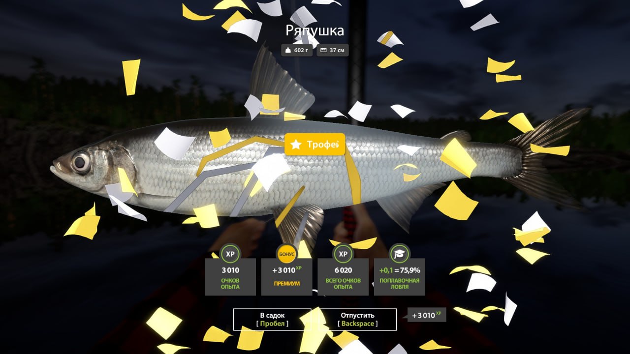 Ladoga Lake — Trophy