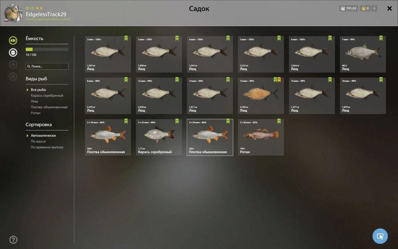 Озеро Старый Острог — Садок