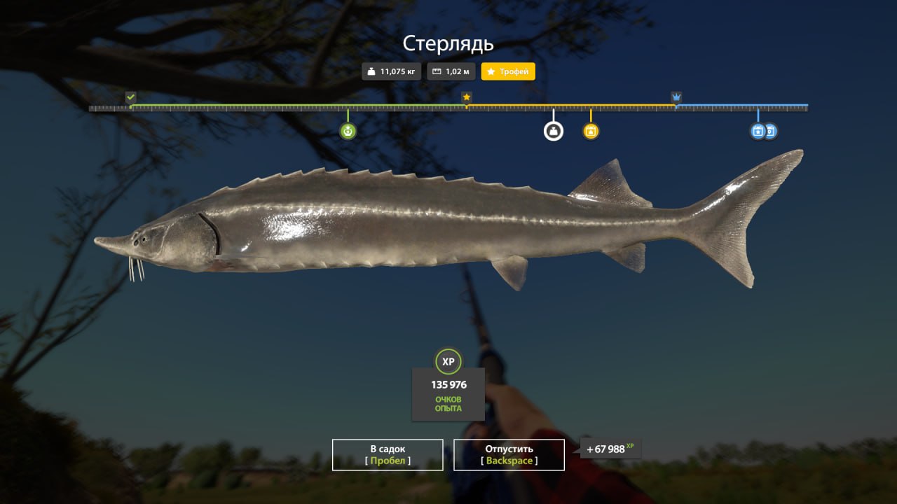 Река Ахтуба — Трофей