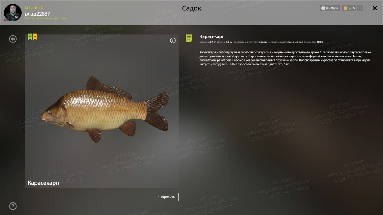 Copper Lake — Trophy