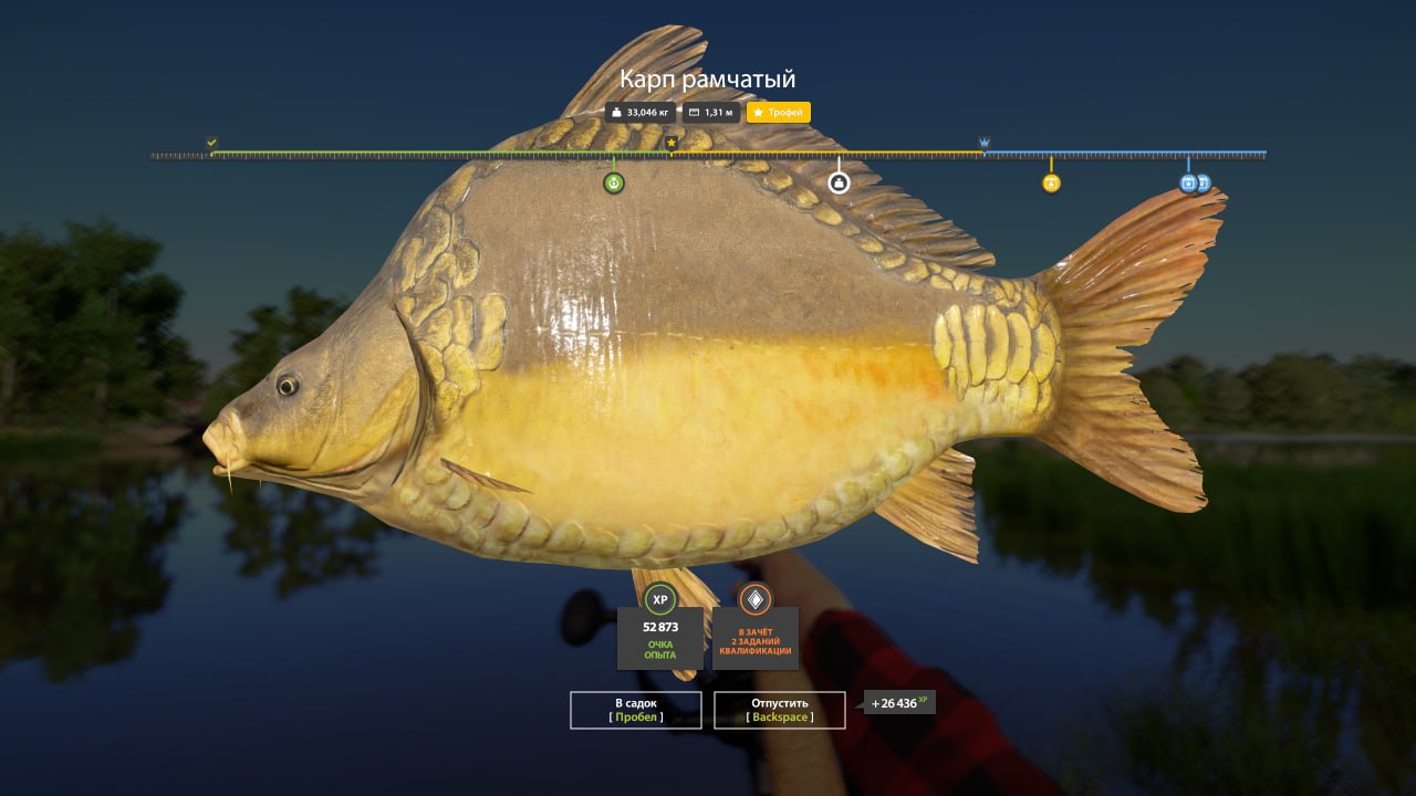 The Amber Lake — Trophy