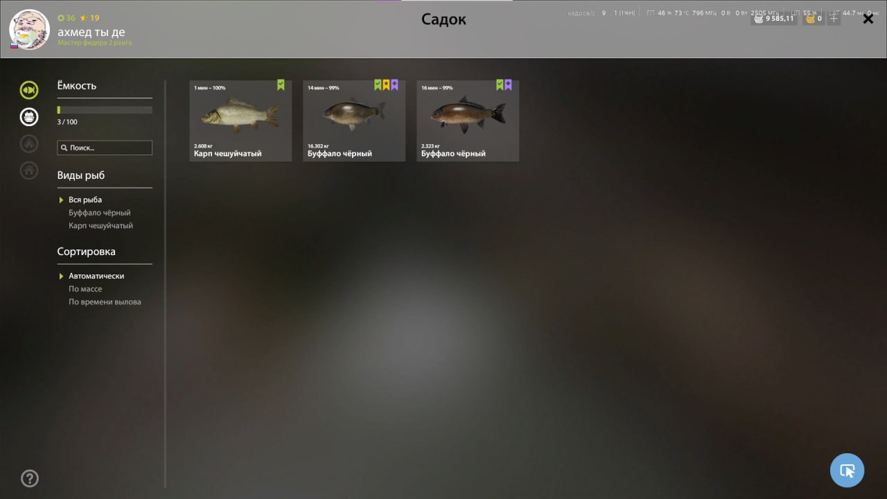 Река Ахтуба — Садок